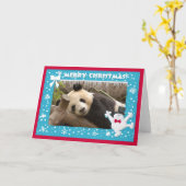 Carte c-panda-278-b (Fleur jaune)