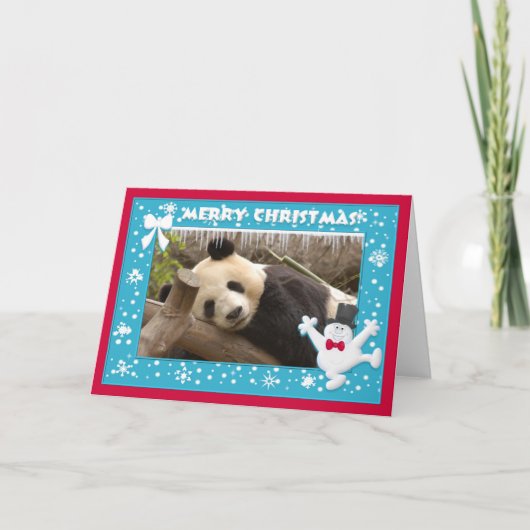 Carte c-panda-278-b (Devant)