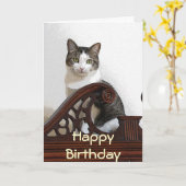 Carte CA anniversaire Kitty (Fleur jaune)