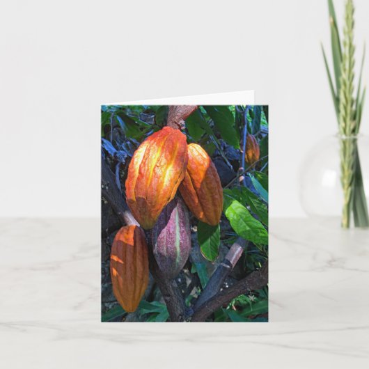 Carte Cacao hawaïen (Devant)