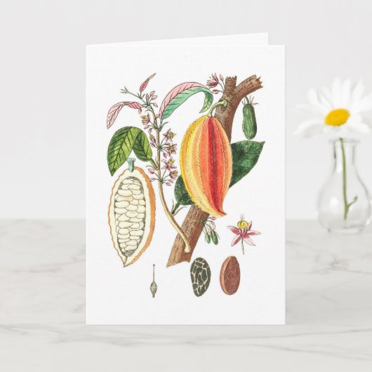 Carte Cacao tiré à la main - Art Vintage (Petite plante)