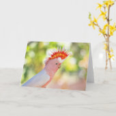 Carte Cacatoès rose avec le Mohawk du l'Amour-feu (Fleur jaune)