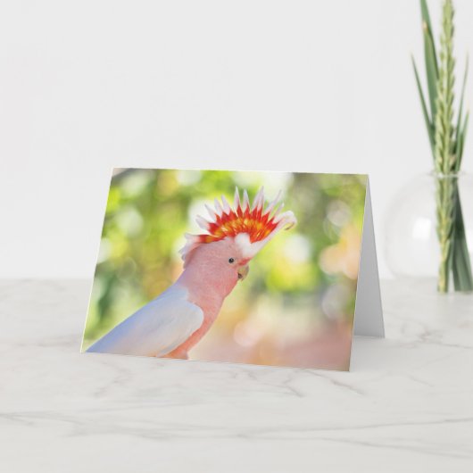 Carte Cacatoès rose avec le Mohawk du l'Amour-feu (Devant)