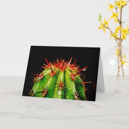 Carte Cactus (Fleur jaune)