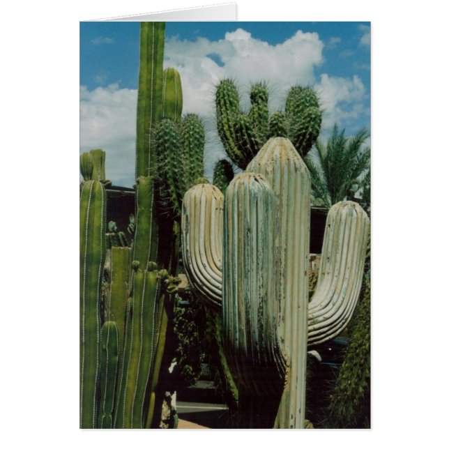 Carte Cactus (Devant)