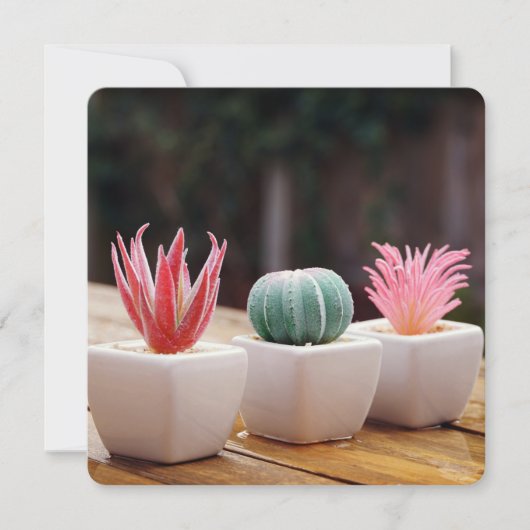 Carte Cactus (Devant)