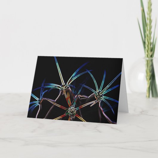 Carte Cactus 1 gccnm (Devant)