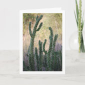 Carte Cactus de canne sauvage (Devant)
