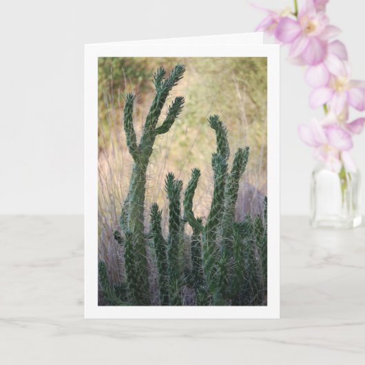 Carte Cactus de canne sauvage (Orchidée)