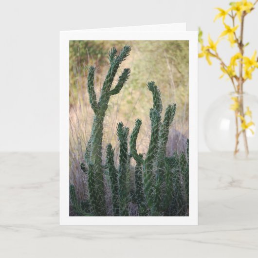 Carte Cactus de canne sauvage (Fleur jaune)