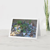 Carte Cactus et rockerie Plante Succulente (Devant)