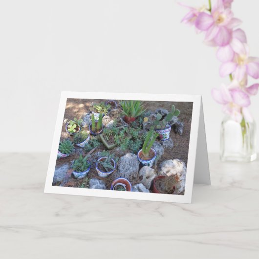 Carte Cactus et rockerie Plante Succulente (Orchidée)