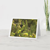 Carte Cactus Oreilles De Lapin Flower, Opuntia Microdasy (Devant)