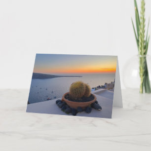 Carte Cactus Santorin Grèce Sunset Photographie