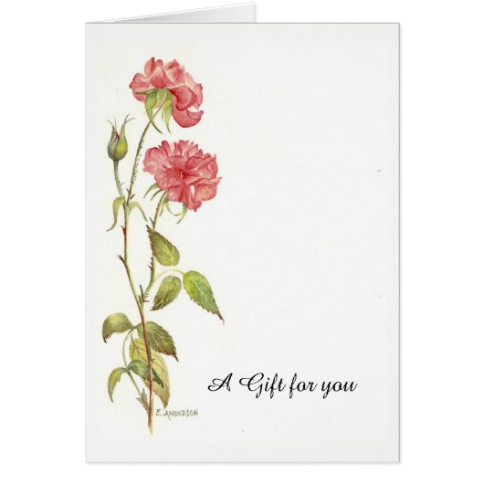 Carte cadeau carnation rose (Devant)