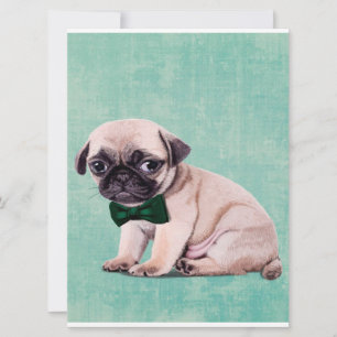 Carte Cadeau De Chien Carlin Cute Chien Mignard Pour An