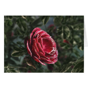 Carte cadeau de départ pour l'hiver