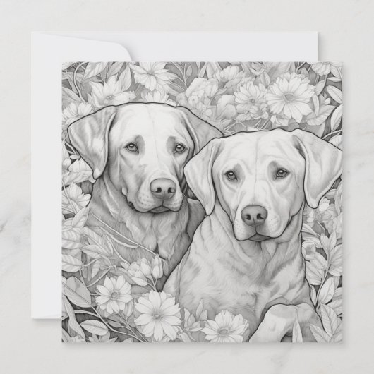 Carte cadeau Labrador Retriever (Devant)