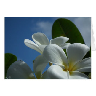 Carte cadeau Plumeria