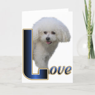 Carte Cadeaux Bichon Frise