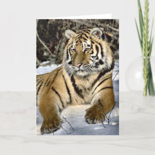 Carte Cadeaux d'art d'amants de tigre