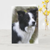 Carte Cadeaux d'art de border collie (Fleur jaune)