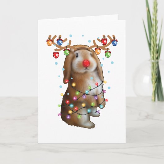 Carte Cadeaux drôles de Noël et de vacances de lapin de (Devant)