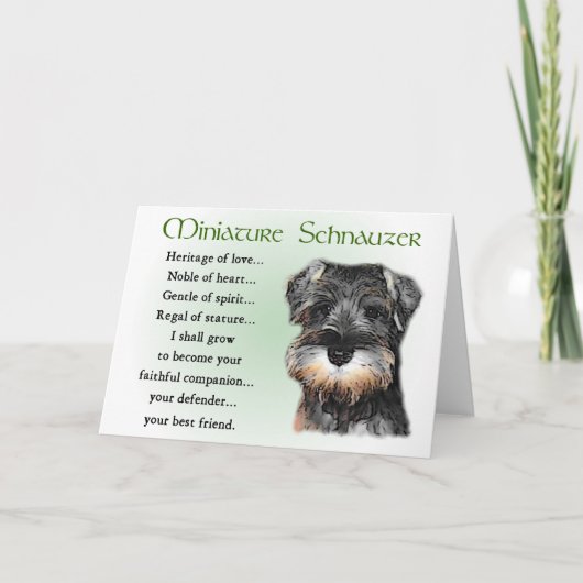 Carte Cadeaux Schnauzer miniatures (Devant)