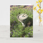 Carte Cadran solaire en Lavender (Fleur jaune)