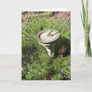 Carte Cadran solaire en Lavender