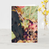 Carte Cadre de titre des textures SW (Fleur jaune)