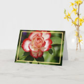 Carte Cadre élégant moderne rose rouge blanc doré (Fleur jaune)