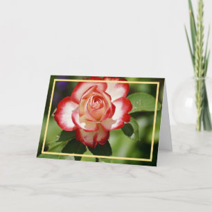Carte Cadre élégant moderne rose rouge blanc doré