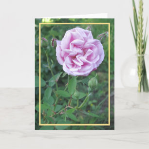 Carte Cadre élégant moderne rose violet or