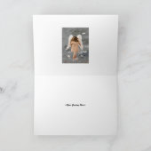 Carte Cadre Narnia Angel. (Intérieur)