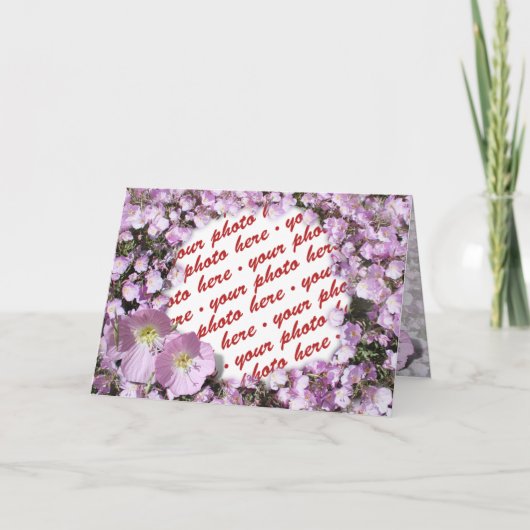 Carte Cadres photo Pink Poppies (Devant)