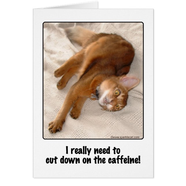 Carte caféinée de chat (Devant)