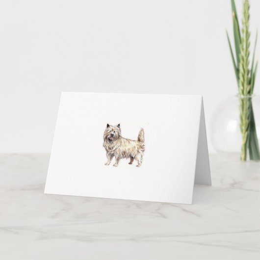 Carte Cairn Terrier (Devant)