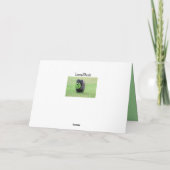 Carte Cairn terrier (Dos)