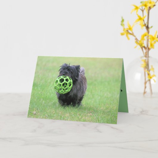 Carte Cairn terrier (Fleur jaune)