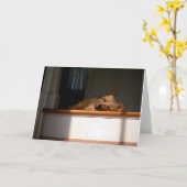 Carte Cairn Terrier (Fleur jaune)