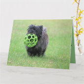 Carte Cairn terrier (Fleur jaune)