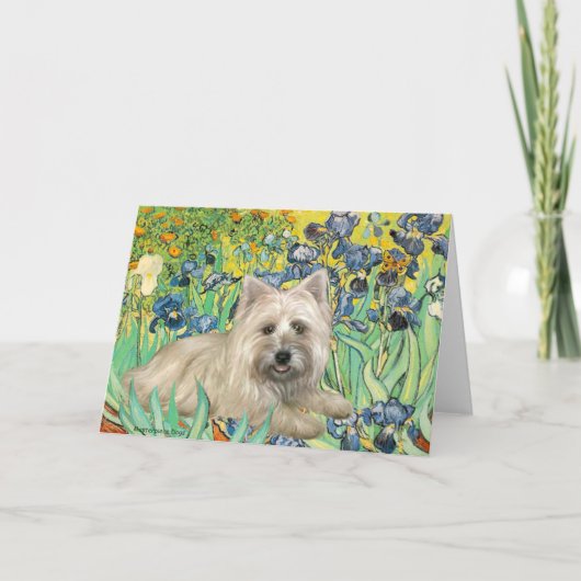 Carte Cairn Terrier 4 - Irises (Devant)