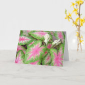 Carte Caladium (Fleur jaune)