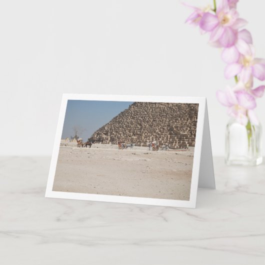 Carte Calèches à Giza, Le Caire (Orchidée)