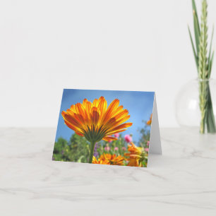 Carte Calendula Note