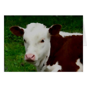 Carte Calf Repose