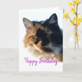 Carte Calico cat Anniversaire (Fleur jaune)
