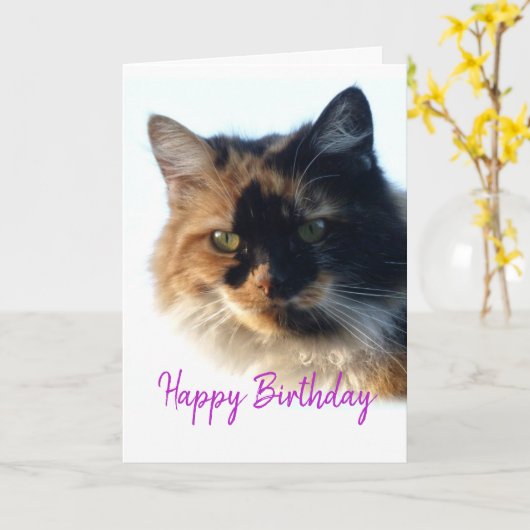Carte Calico cat Anniversaire (Fleur jaune)