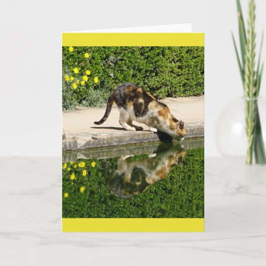 Carte Calico Cat eau potable (Devant)